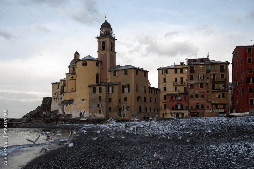 Obraz premium Camogli