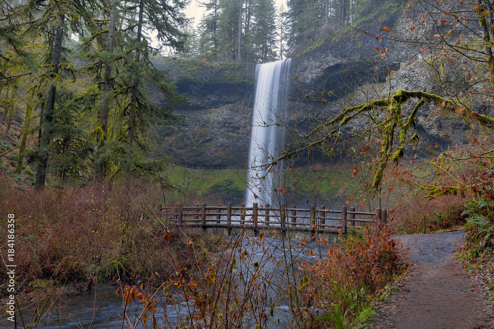 Fototapeta premium Wood Bridge on Hiking Trail at Silver Falls State Park in Oregon USA America