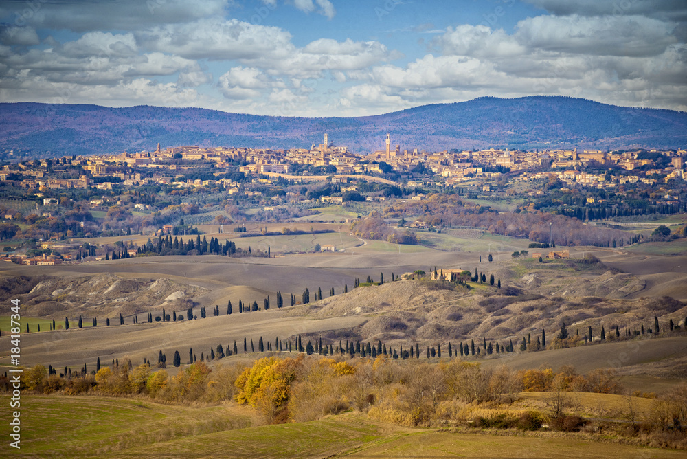 Obraz premium Panorama of Siena seen from Val D'Arbia. Siena, Tuscany, Italy.