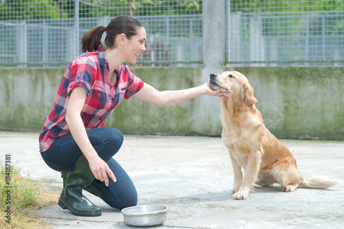 animal shelter volunteer feeding the dogs