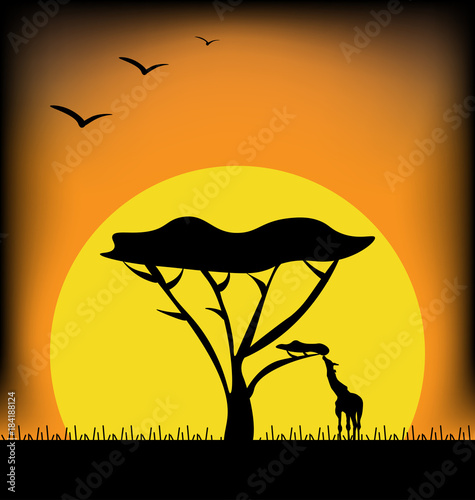 sunset in Africa image