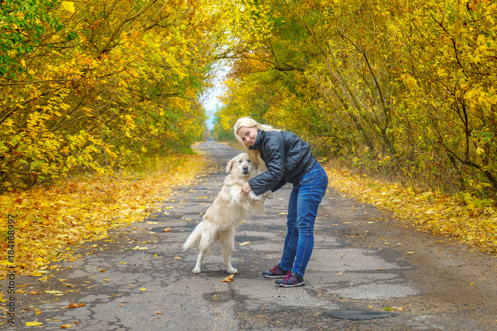 Young girl playing with dog golden retriver on the road in yellow forest. friendship with pets Young girl playing with dog golden retriver on the road in yellow forest. friendship with pets