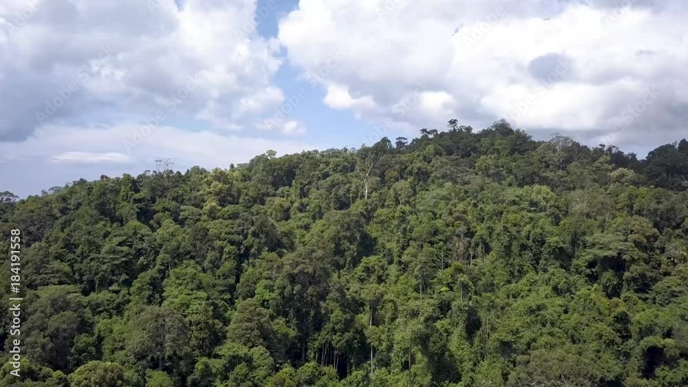 4k aerial drone view flying over a dense, mountainous tropical rainforest