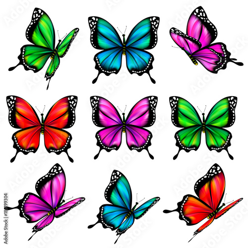 Wallpaper Mural beautiful color butterflies,set, isolated  on a white Torontodigital.ca