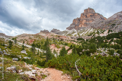 Mountain bushes along path in the upper part of  Travenanzes Valley with massive Fanis Peaks background, Dolomites, Italy photo