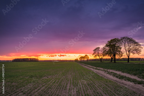 Beautiful colorful sunset with amazing clouds on the sky over the field and trees. Kashubia in Poland.