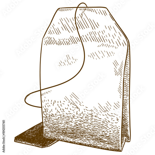 engraving illustration of tea bag