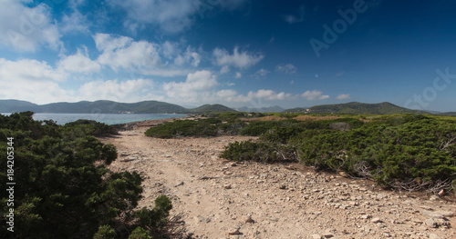 Green forest on Ibiza. In the background Salinas beach