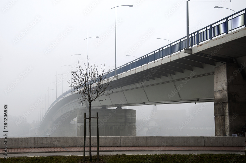 the bridge over the river that goes into the fog.
