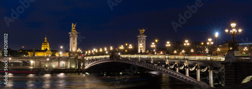 The Alexandre III bridge at night in Paris  France