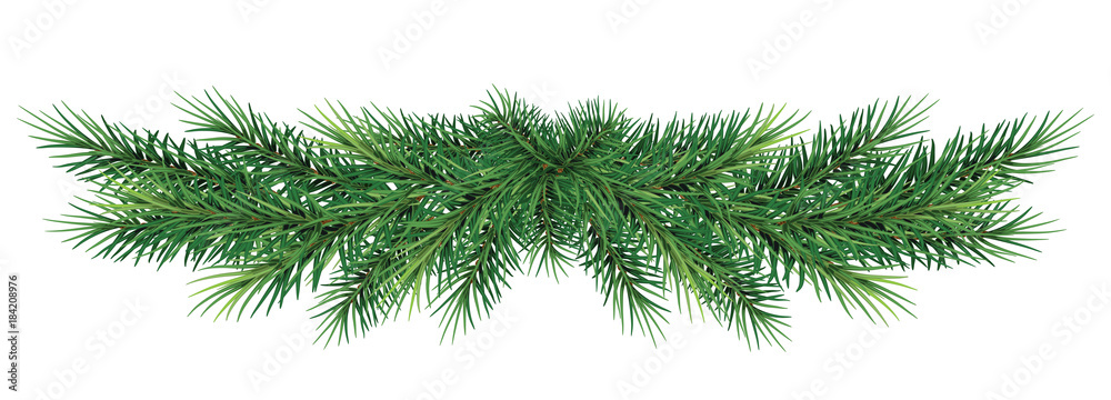Obraz premium długa girlanda z gałęzi choinki. Ilustracji wektorowych. EPS 10. Realistyczne obramowanie jodły, rama na białym tle. Świetne na ulotki świąteczne, plakaty imprezowe.