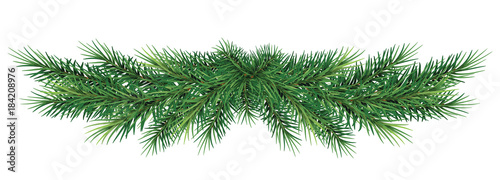 Fotografia long garland of Christmas tree branches
