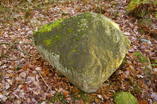 Big rock in forrest. photo