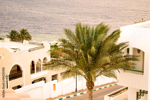 a palm tree on the background of a chic whire arabic hotel and the red sea. picturesque landscape of the Egyptian embankment.