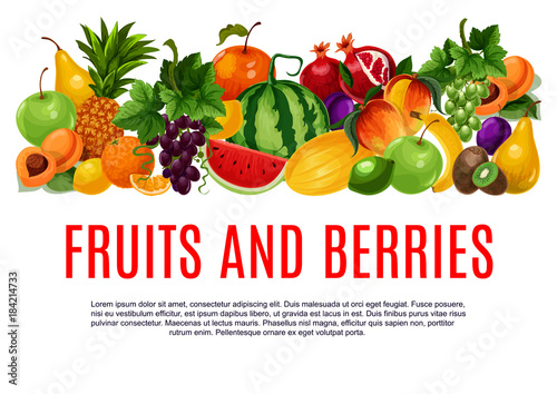 Fruit and berry banner with border of farm product