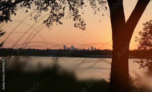 picture of sunset at the lake with business buildings in Dallas city, Texas through the big tree photo
