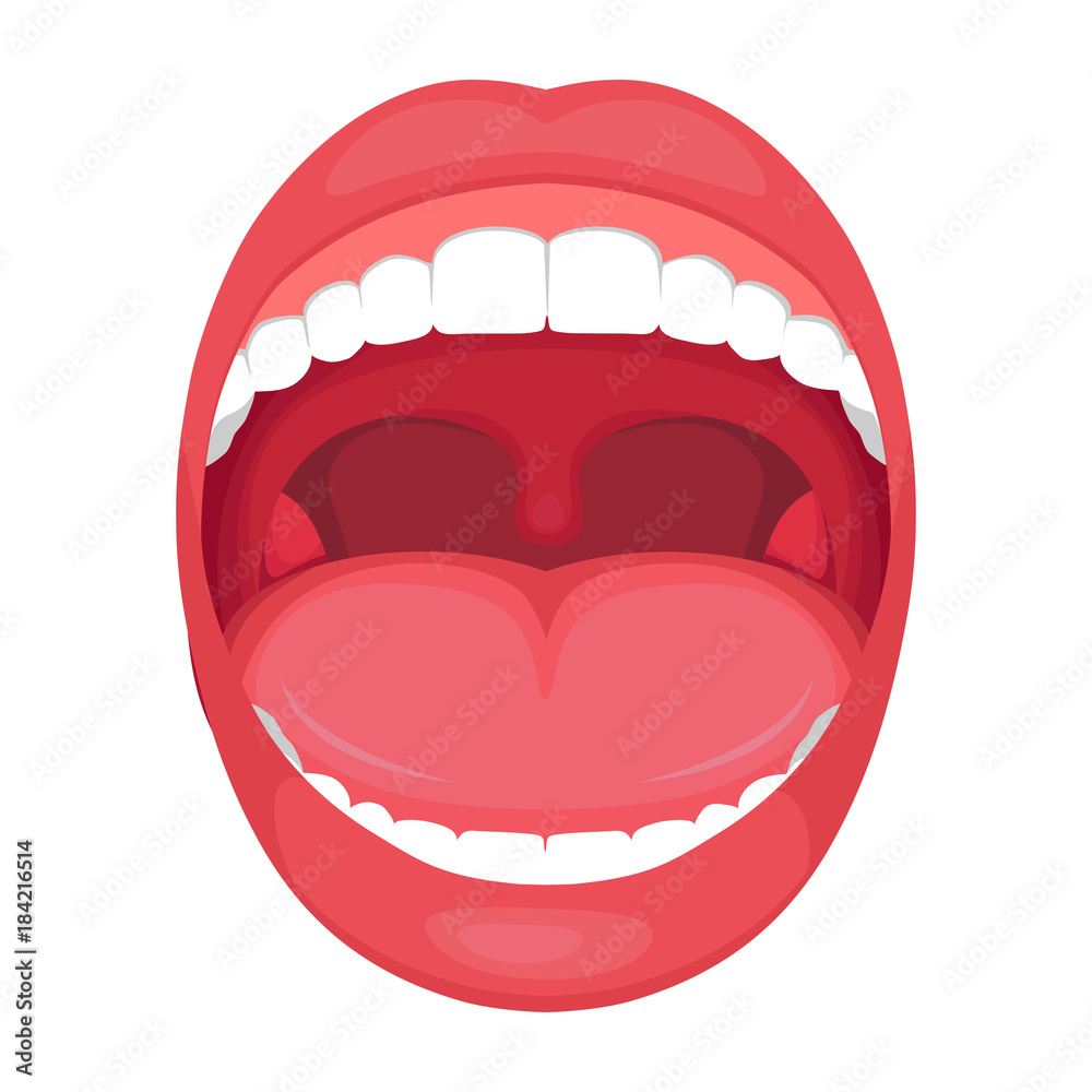 Fototapeta premium vector illustration of a anatomy human open mouth. medical diagram 