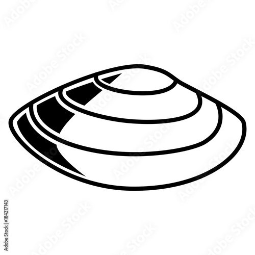 Sea Shell Isolated On White Background

