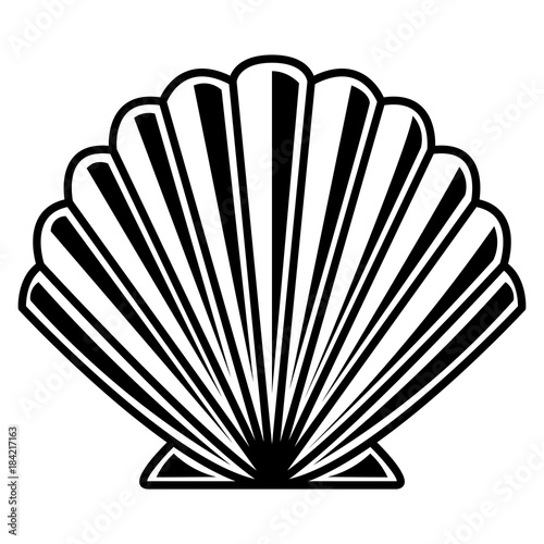 Sea Shell Isolated On White Background
