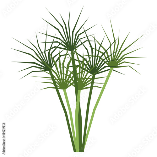 Cartoon Plant Isolated On White Background
