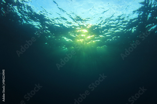 Underwater background © Richard Carey