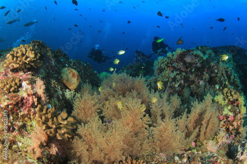 Scuba dive coral reef underwater