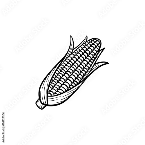 Vector hand drawn popcorn corn cob outline doodle icon