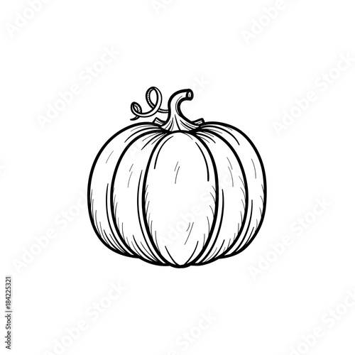Vector hand drawn pumpkin outline doodle icon
