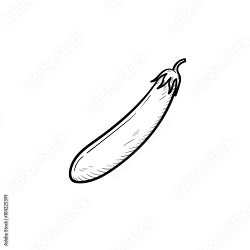 Vector hand drawn eggplant outline doodle icon