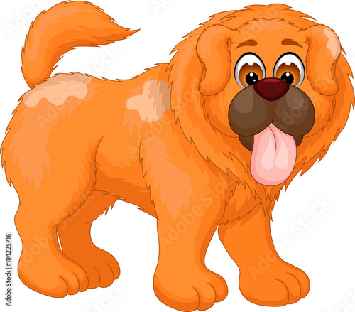 Fototapeta Naklejka Na Ścianę i Meble -  funny chow chow cartoon standing with laughing