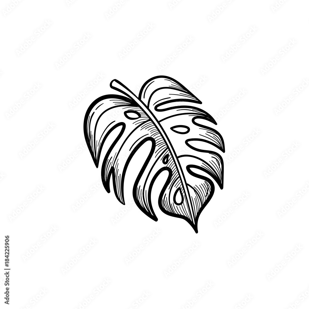 Fototapeta premium Vector hand drawn palm leaf outline doodle icon