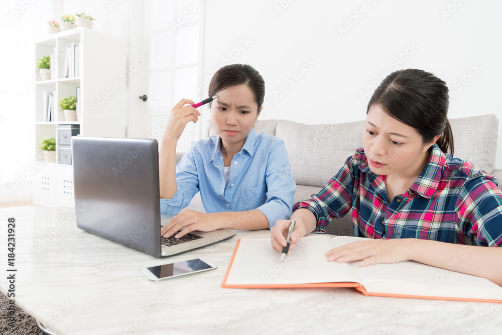 attractive female students studying together attractive female students studying together