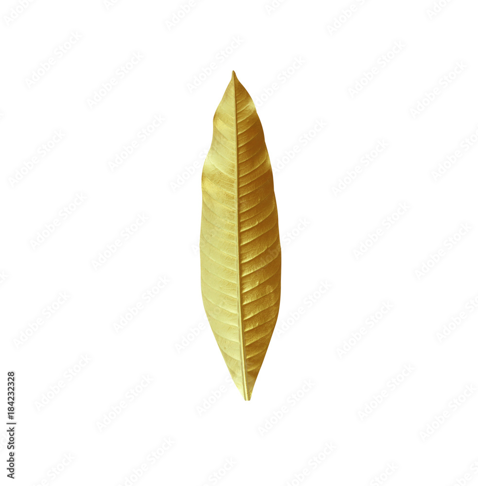 Golden leaf Golden leaf