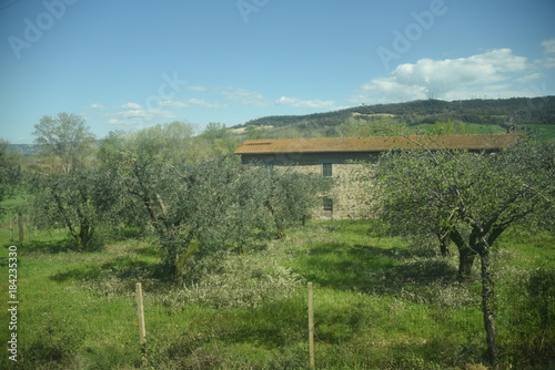 Vistas de la campiña italiana, italia, Europa verde photo