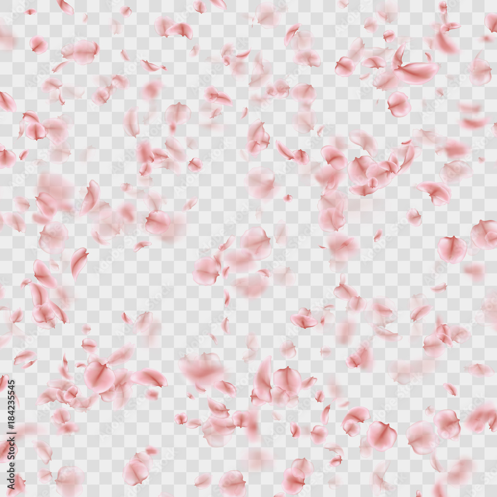 Petals falling confetti effect isolated on transparent. EPS 10 vector Petals falling confetti effect isolated on transparent. EPS 10 vector