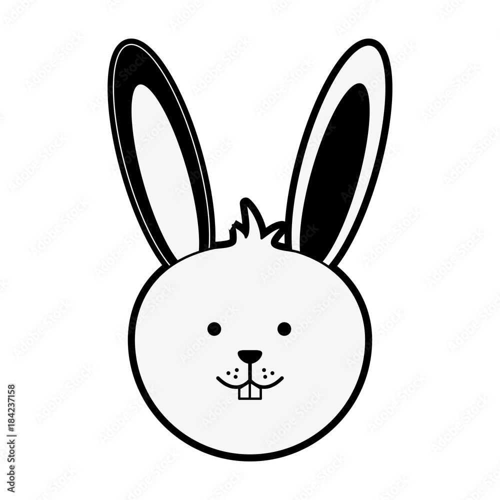 Cute bunny cartoon icon vector illustration graphic design Cute bunny cartoon icon vector illustration graphic design