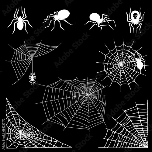 Spiders vector web silhouette spooky spider nature halloween element cobweb decoration fear spooky net.