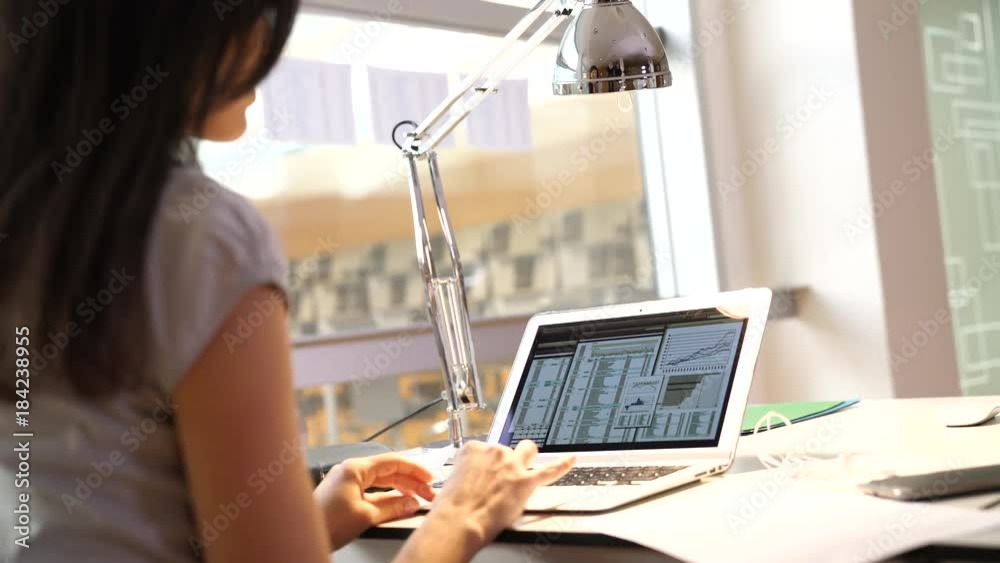 Back view of businesswoman working on laptop Back view of businesswoman working on laptop