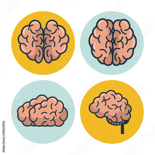 Smart brain icons vector illustration graphic design