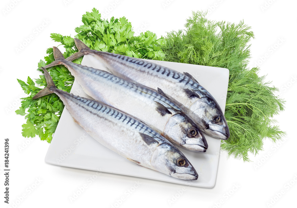 Uncooked Atlantic mackerel on white dish against of herbs Uncooked Atlantic mackerel on white dish against of herbs