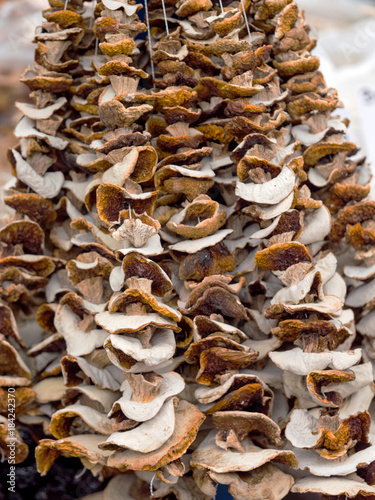 Ekologiczne susz grzybów leśnych pokazany na targach zdrowej żywności