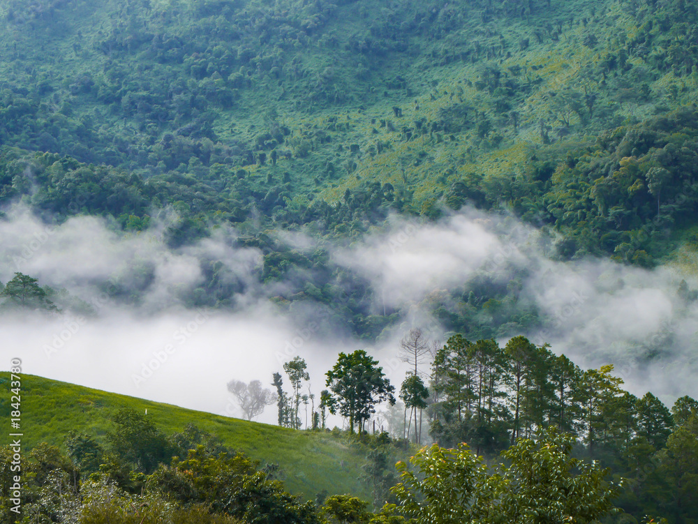 high mountain with beautiful sea of fog , misty floating down the valley over the trees and forest. high mountain with beautiful sea of fog , misty floating down the valley over the trees and forest.