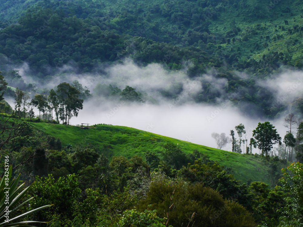 high mountain with beautiful sea of fog , misty floating down the valley over the trees and forest. high mountain with beautiful sea of fog , misty floating down the valley over the trees and forest.