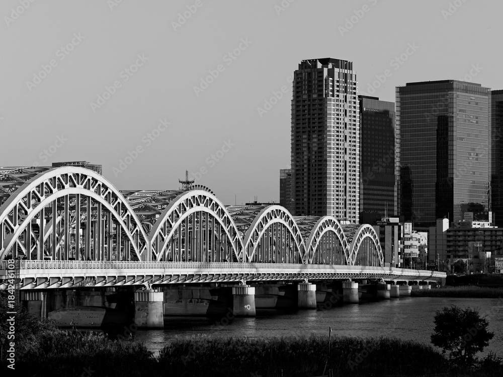Obraz premium 十三大橋と大阪キタの街並み(モノクロ)