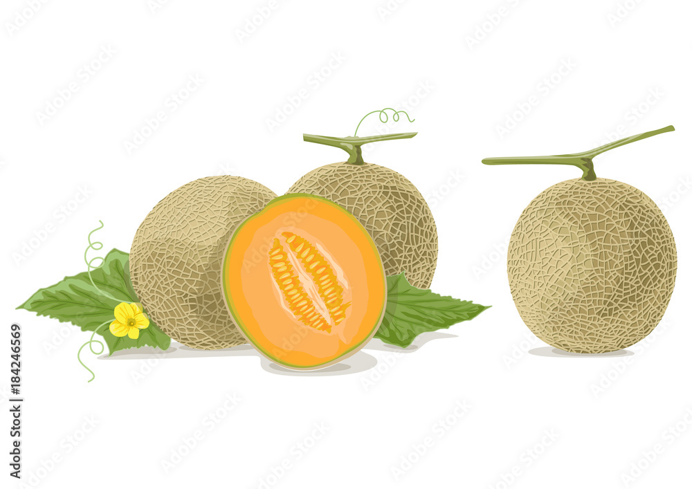 Cantaloupe melon slices AI - obrazy, fototapety, plakaty 