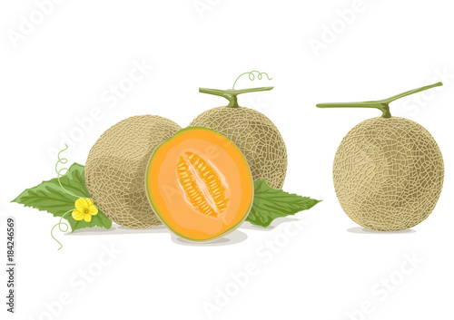 Cantaloupe melon slices AI photo