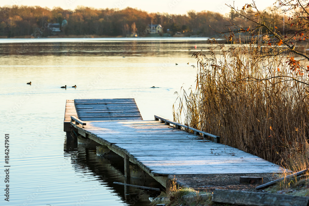 Obraz premium Frost covered wooden pier in coastal landscape on a cold morning. Reed beside pier and coastal landscape with birds in water in background. Location Nattraby outside Karlskrona, Sweden.