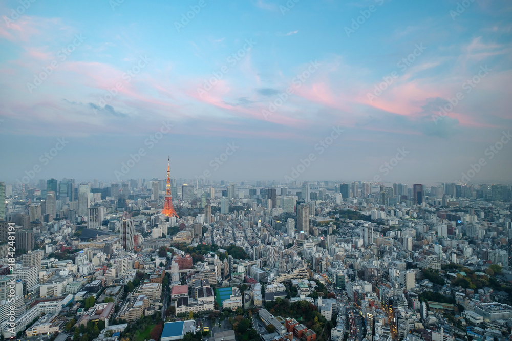 Japan cityscape Tokyo tower light up twilight time famous tower iconic landmark in Tokyo Japan