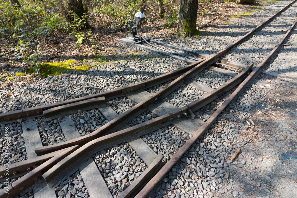 Fototapeta premium Weiche