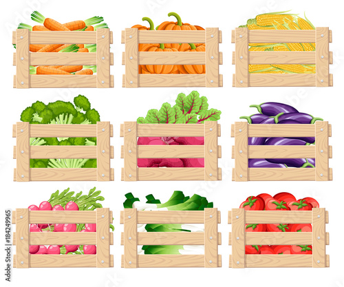 Set of wooden box for vegetables keeping and fruits wood crates front view with fresh food with vector illustration isolated on white background